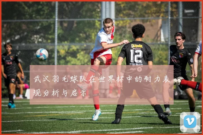 武汉羽毛球队在世界杯中的耐力表现分析与启示