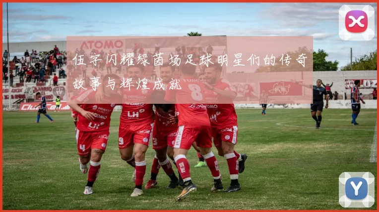 伍字闪耀绿茵场足球明星们的传奇故事与辉煌成就