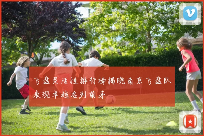 飞盘灵活性排行榜揭晓南京飞盘队表现卓越名列前茅