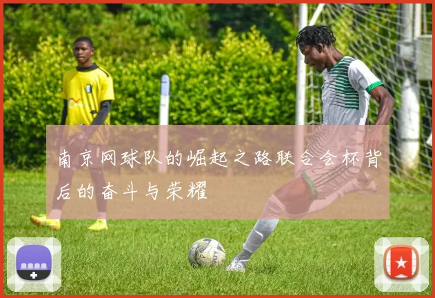 南京网球队的崛起之路联合会杯背后的奋斗与荣耀