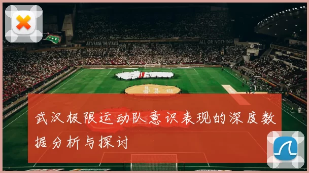 武汉极限运动队意识表现的深度数据分析与探讨