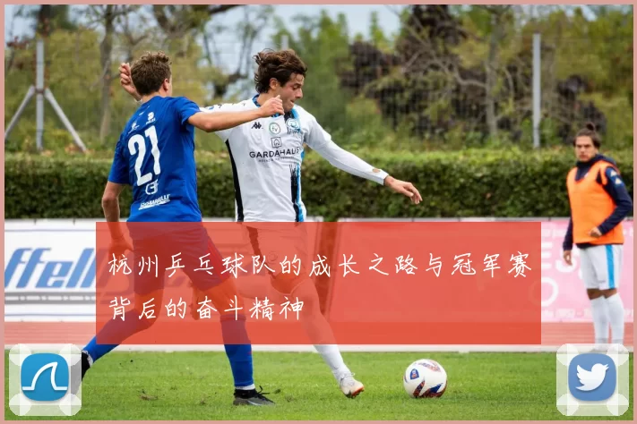 杭州乒乓球队的成长之路与冠军赛背后的奋斗精神