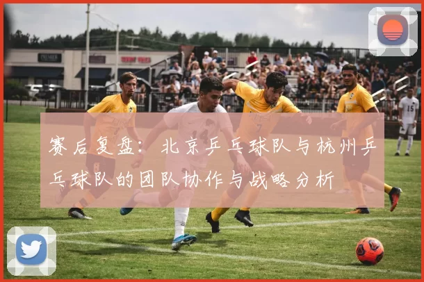 赛后复盘：北京乒乓球队与杭州乒乓球队的团队协作与战略分析