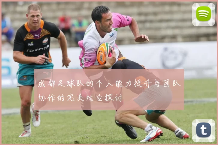 成都足球队的个人能力提升与团队协作的完美结合探讨