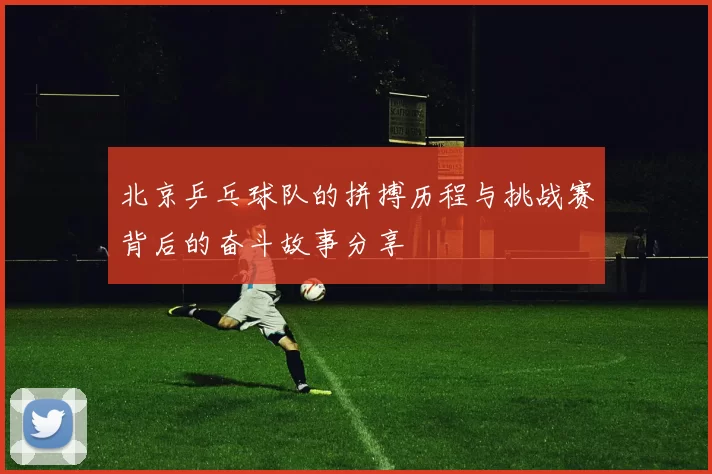 北京乒乓球队的拼搏历程与挑战赛背后的奋斗故事分享