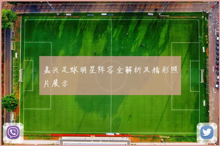嘉兴足球明星阵容全解析及精彩照片展示