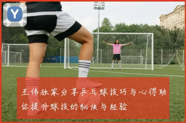 王伟独家分享乒乓球技巧与心得助你提升球技的秘诀与经验