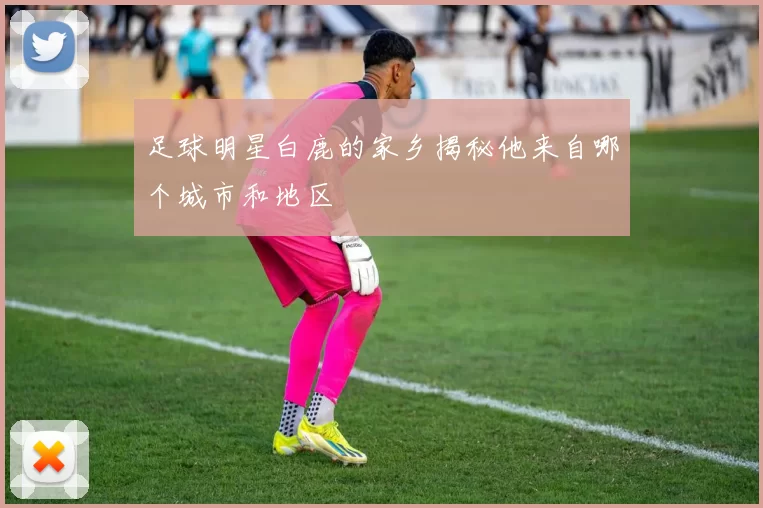 足球明星白鹿的家乡揭秘他来自哪个城市和地区