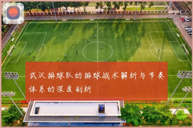 武汉排球队的排球战术解析与节奏体系的深度剖析