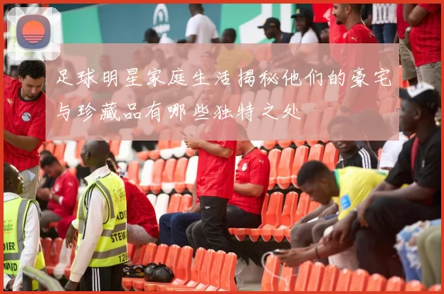 足球明星家庭生活揭秘他们的豪宅与珍藏品有哪些独特之处