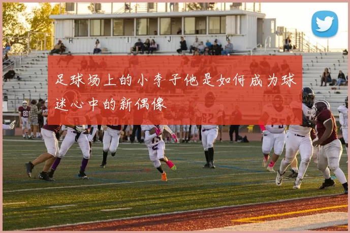 足球场上的小李子他是如何成为球迷心中的新偶像