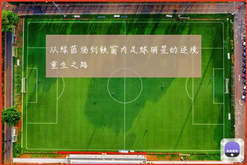 从绿茵场到铁窗内足球明星的逆境重生之路