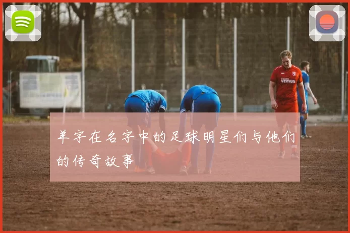 羊字在名字中的足球明星们与他们的传奇故事