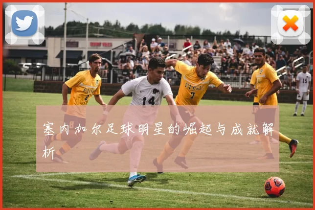塞内加尔足球明星的崛起与成就解析