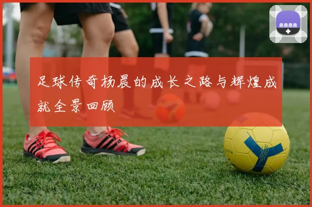 足球传奇杨晨的成长之路与辉煌成就全景回顾