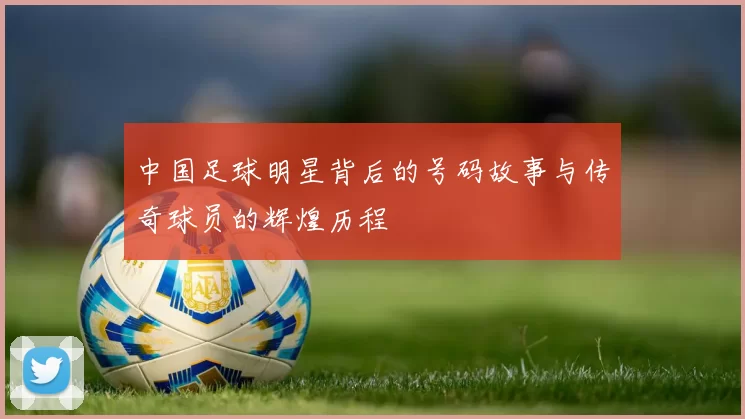 中国足球明星背后的号码故事与传奇球员的辉煌历程