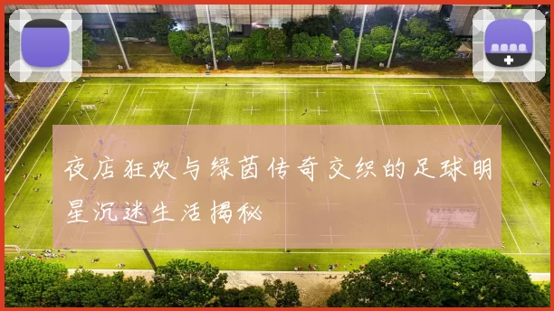 夜店狂欢与绿茵传奇交织的足球明星沉迷生活揭秘