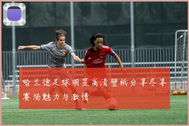 哈兰德足球明星高清壁纸分享尽享赛场魅力与激情